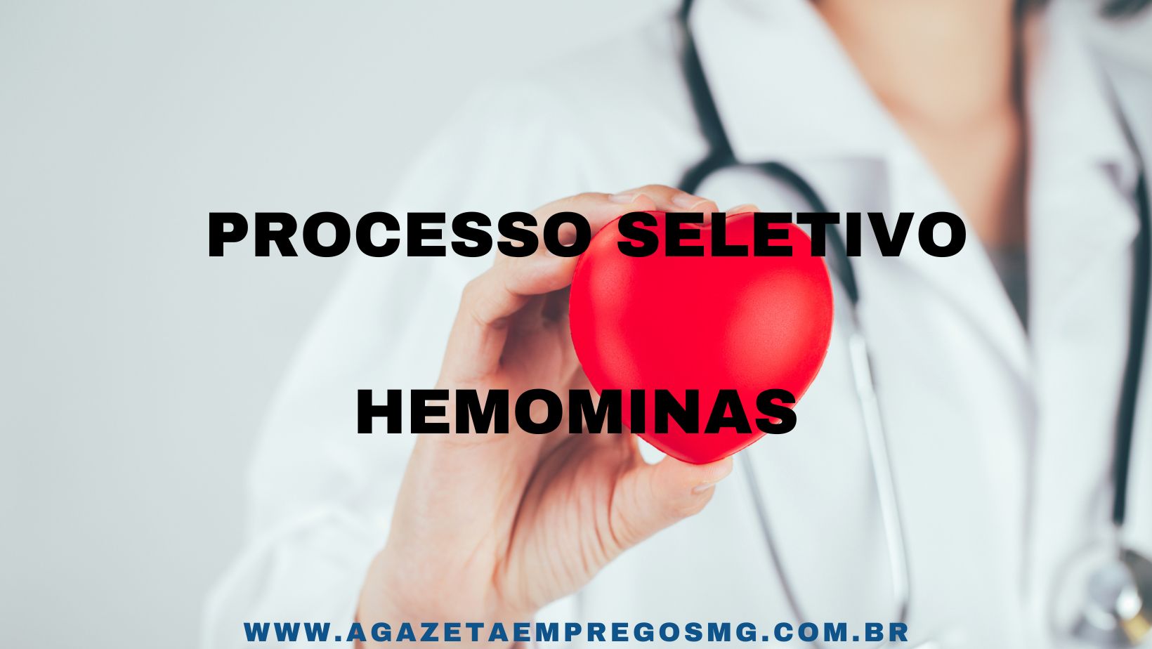 ﻿PROCESSO SELETIVO PARA O HEMOMINAS