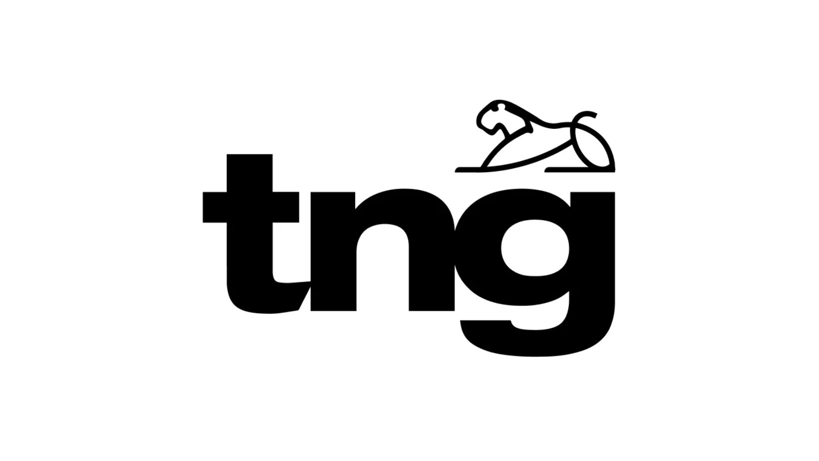 FAÇA PARTE DA EQUIPE DA TNG