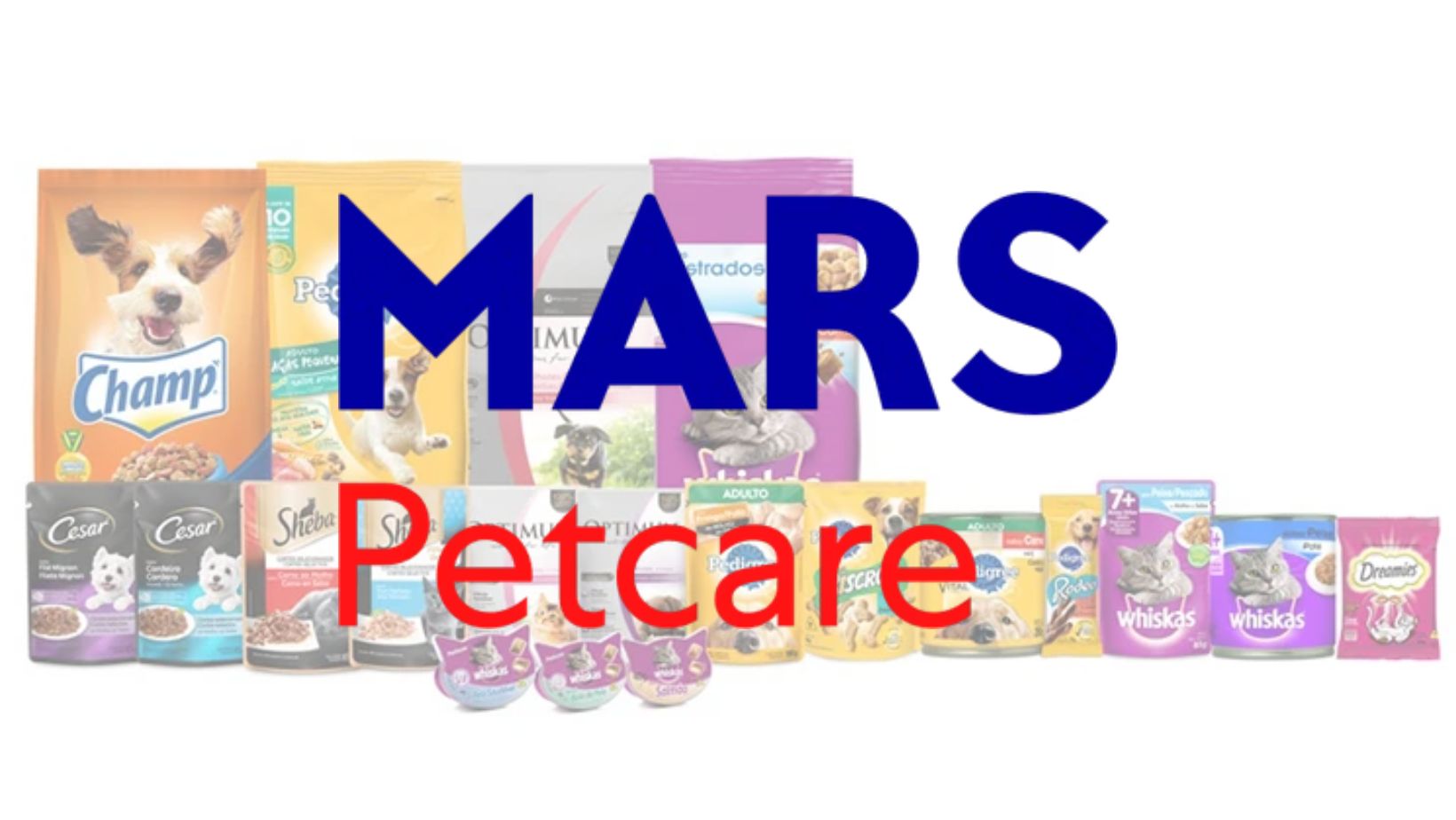 MARS PETCARE ABRE OPORTUNIDADE PARA PROMOTOR DE MERCHANDISING EM BELO HORIZONTE E CONTAGEM