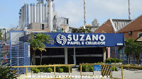 SUZANO ADMITE PROFISSIONAIS