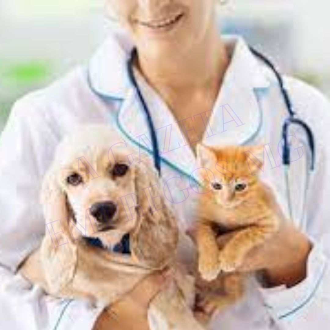 MÉDICO VETERINÁRIO